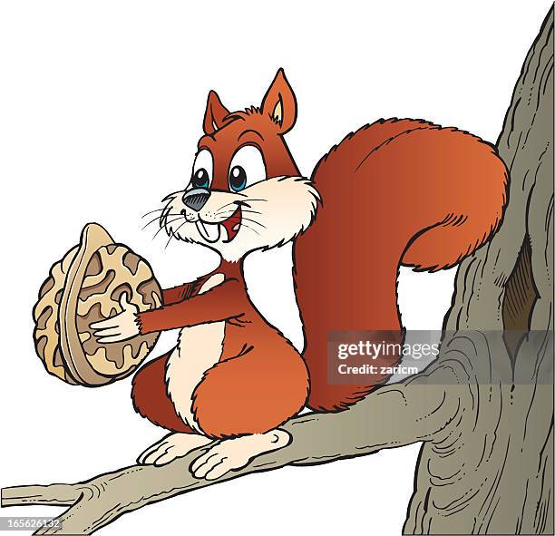 377 Smiling Squirrel Stock Photos, High-Res Pictures, and Images ...