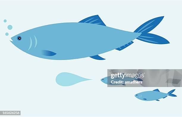 2 4点の魚 泳ぐイラスト素材 Getty Images 2 4点の魚 泳ぐイラスト素材 Getty Images