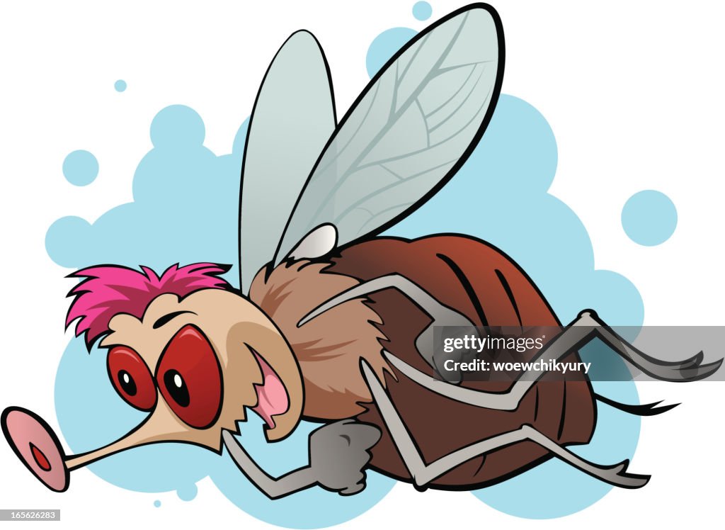 Fly