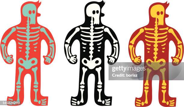 x-ray - human skeleton stock illustrations