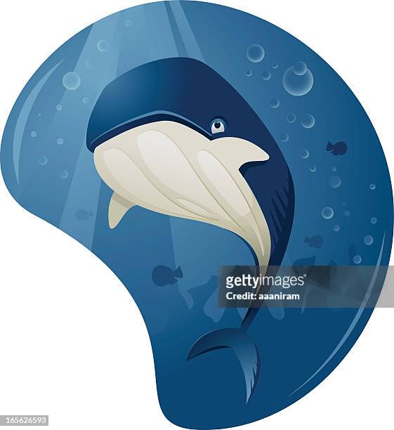 cute whale - blue whale stock illustrations