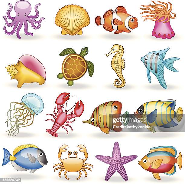 sea creatures - angelfish stock illustrations