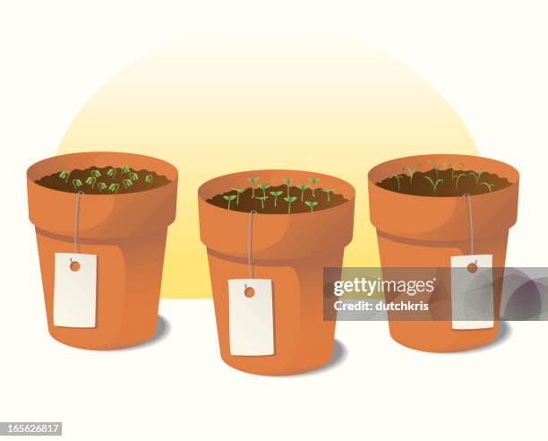 herb garden - earthenware stock illustrations