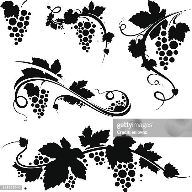 ilustrações de stock, clip art, desenhos animados e ícones de grapevine/vinho símbolos - bunch