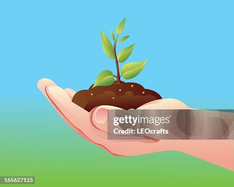Save Green Save Green