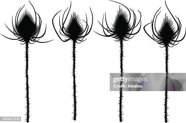 thistles silhouettes - thistle silhouette stock illustrations