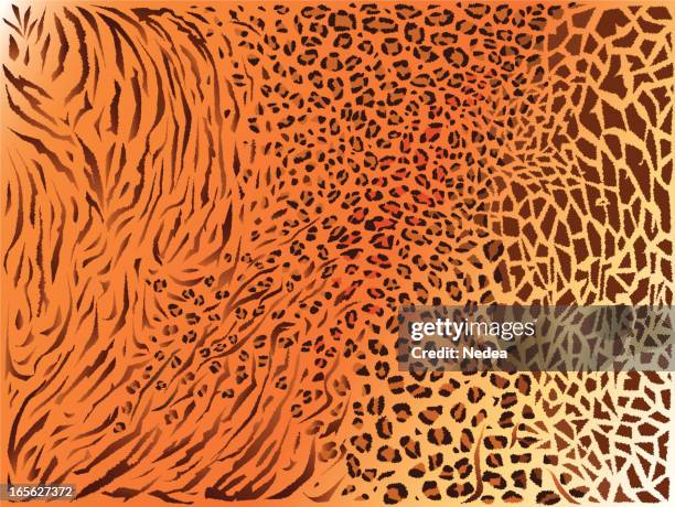 mixed fur texture pattern backgraund - animal markings stock illustrations