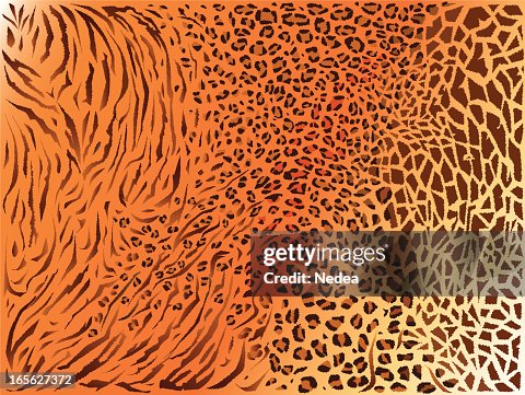 Mixed fur texture pattern backgraund Mixed fur texture pattern backgraund