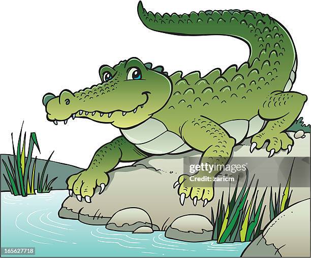 crocodile - crocodile stock illustrations