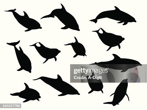 Dolphins Vector Silhouette Dolphins Vector Silhouette