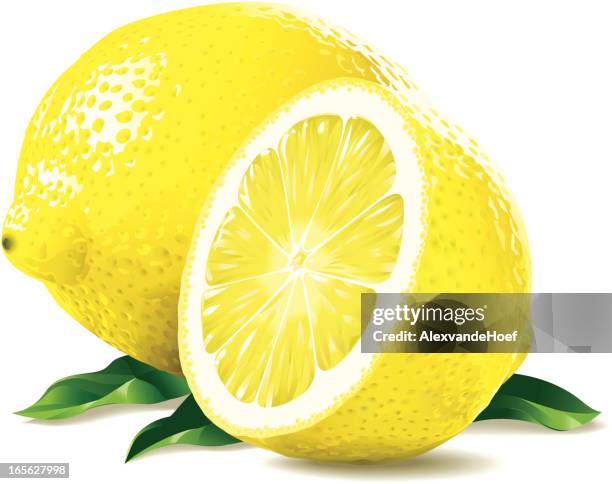 illustrazioni stock, clip art, cartoni animati e icone di tendenza di limone e mezza - lemons