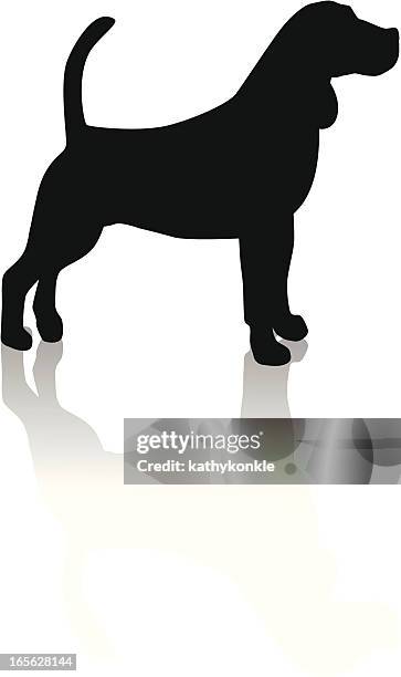 ilustraciones, imágenes clip art, dibujos animados e iconos de stock de beagle silueta - beagle silhouette