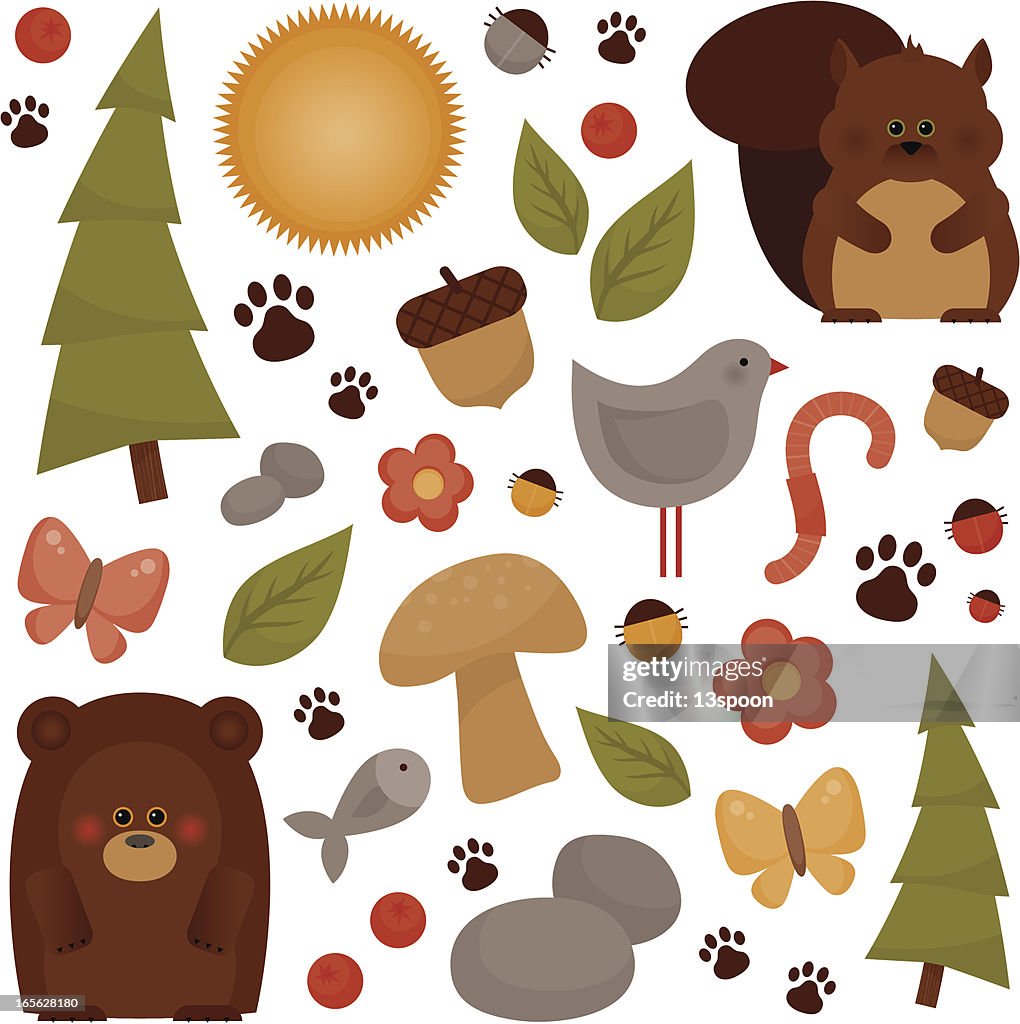 Forest Fun