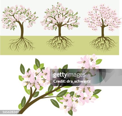 Spring Spring