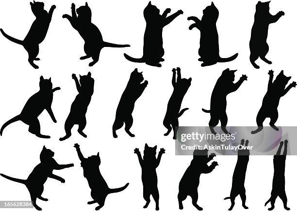 cats - paw silhouette stock illustrations