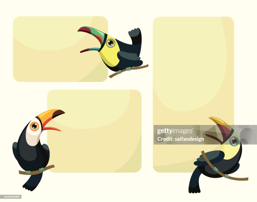 Toucan Jungle Frames