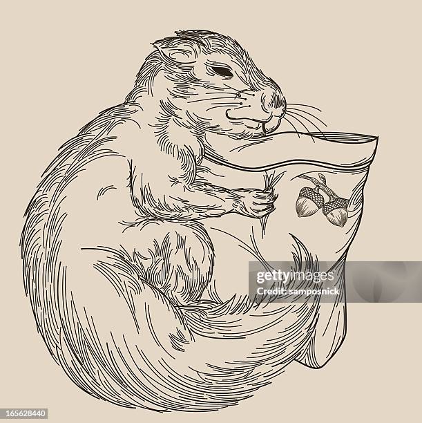 sleepy squirrel cuddling his pillow - squirrel isolated stock illustrations