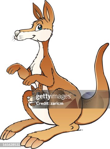 Kangaroo Kangaroo