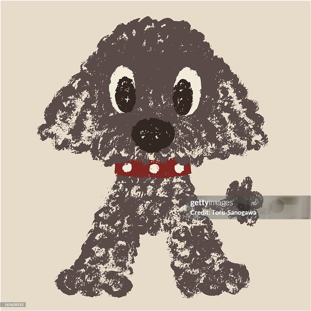 Portuguese Water Dog