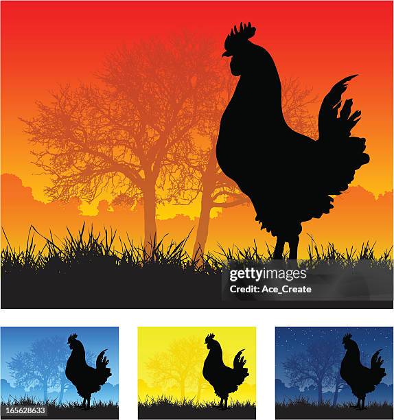 cockerel silhouette - free range stock illustrations