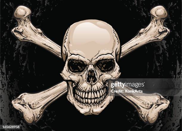 stockillustraties, clipart, cartoons en iconen met skull and crossbones - menselijke schedel