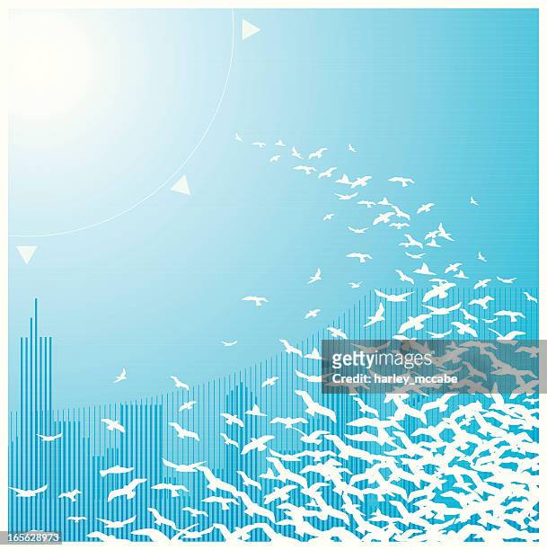 illustration of white birds flying on a blue background - mccabe stock illustrations