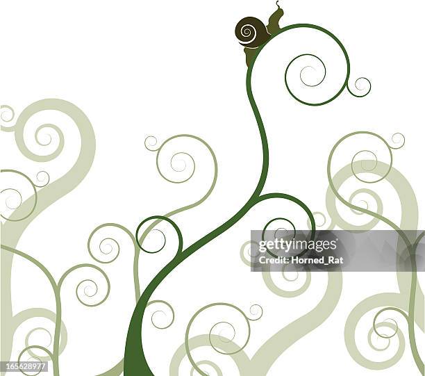 snail on a plant - snail shell stock illustrations