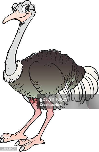 ostrich - ostrich stock illustrations
