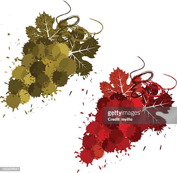 ilustrações de stock, clip art, desenhos animados e ícones de grunge uvas para vinho - wine stain