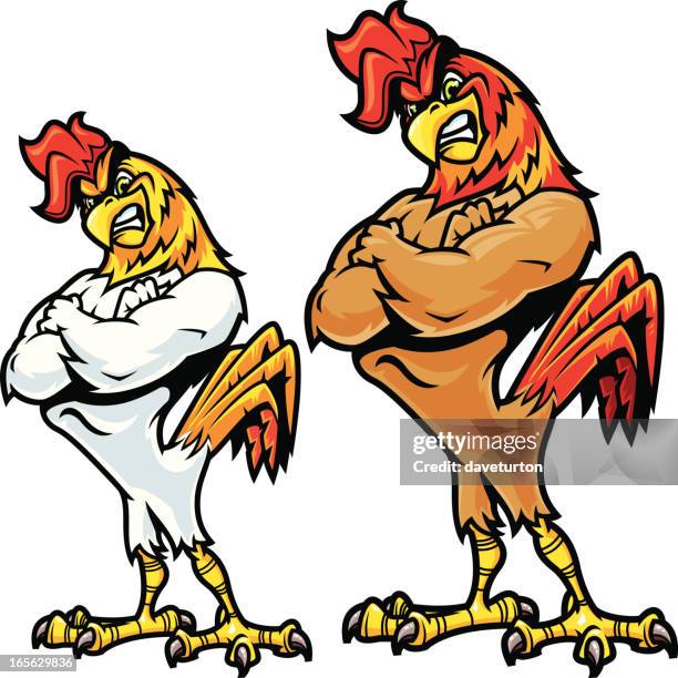 rooster fighting stance - angry rooster stock illustrations