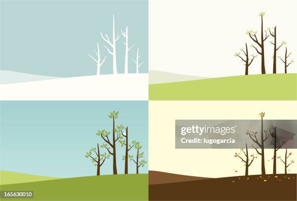 ilustraciones, imágenes clip art, dibujos animados e iconos de stock de temporada de árboles - cherry tree