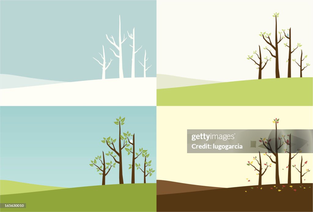 Season of Trees