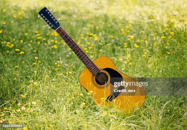 guitar in  meadow - acoustic guitar stock pictures, royalty-free photos & images