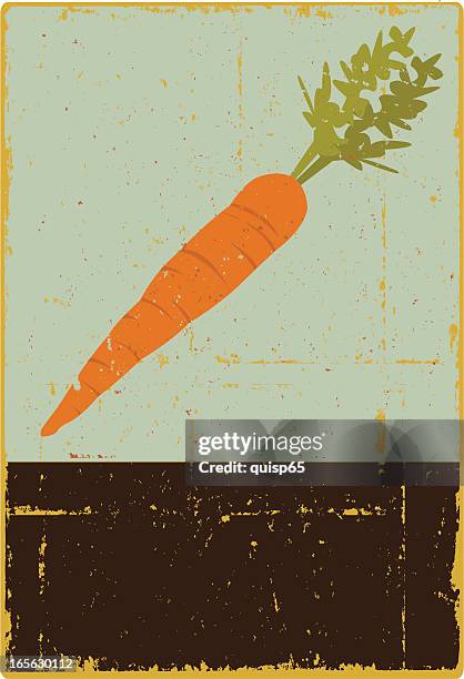 illustrations, cliparts, dessins animés et icônes de panneau de carotte - carotte