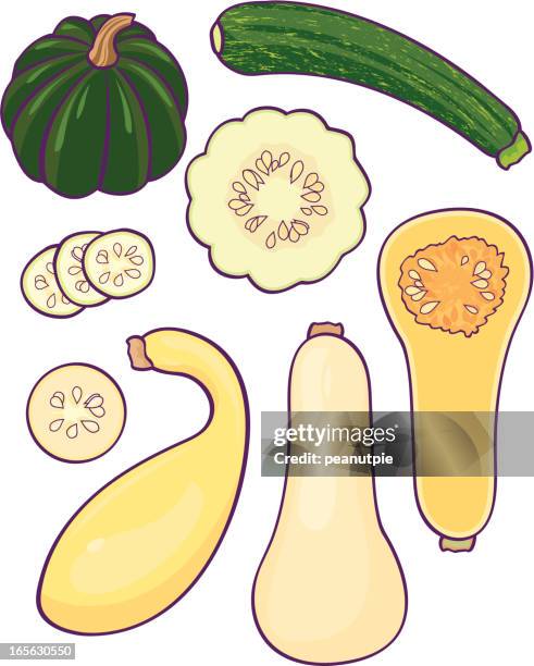 squash - yellow zucchini stock illustrations