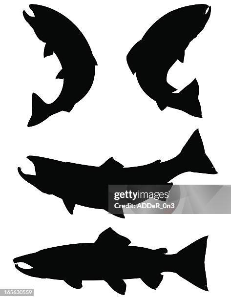stockillustraties, clipart, cartoons en iconen met trout and salmon silhouettes - extreme close up