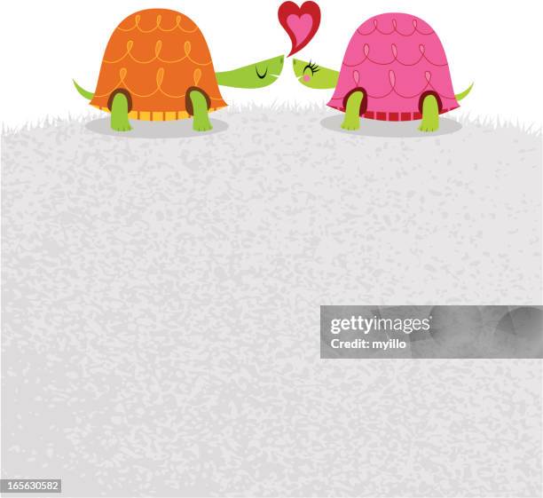 tortoise love turtle couple happy animal valentine illustration vector - tortoiseshell texture stock illustrations