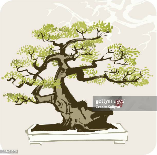 365点の盆栽イラスト素材 Getty Images 365点の盆栽イラスト素材 Getty Images