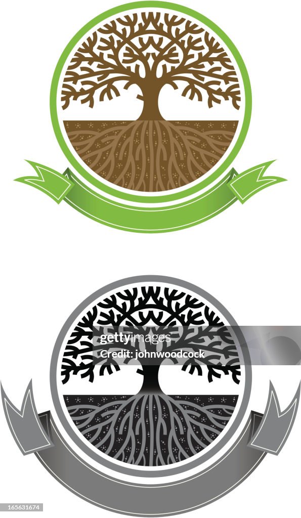 Tree Roots Banner Round Tree Banner High-Res Vector Graphic - Getty Images