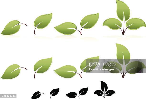 eco-friendly stylized leaves and trees design elements, icons set - plant part stock illustrations