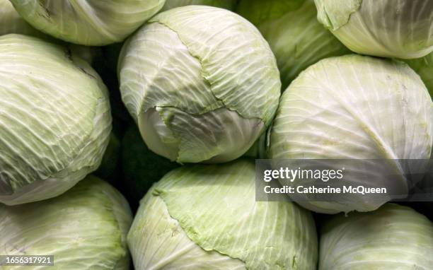 fresh heads of cabbage at market - garniture photos et images de collection