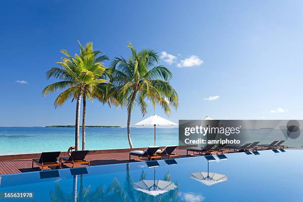 magnifique piscine tropicale - piscine à débordement photos et images de collection