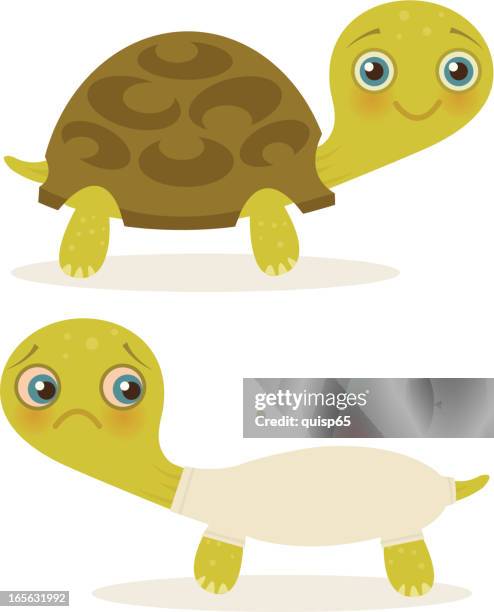 turtle - foreclosure stock illustrations