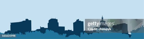 stockillustraties, clipart, cartoons en iconen met saint paul skyline with trees - bomenrij
