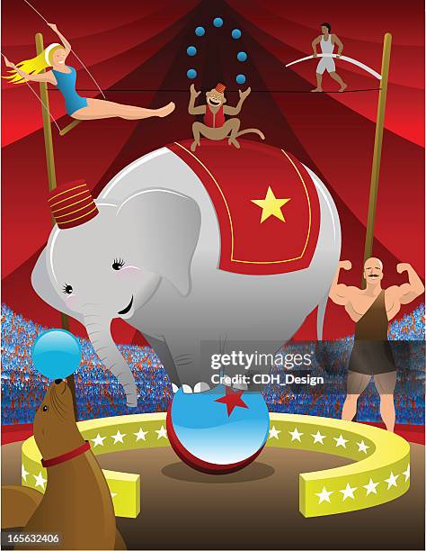 Circus Balance Rope 929 Tightrope Circus Stock Photos, High-Res Pictures, and Images ...