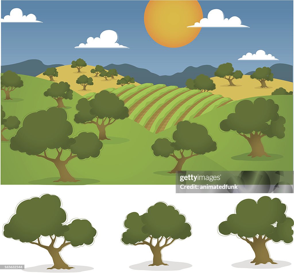 California Wine Country