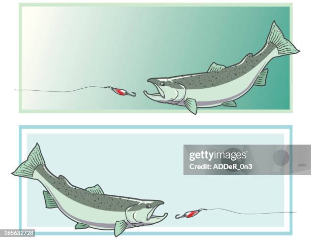pacific salmon banner/sign - trout stock illustrations