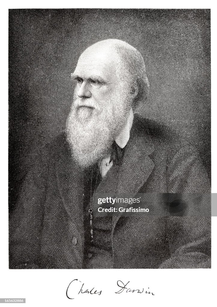 Gravieren der Wissenschaftler Charles Darwin aus 1882 mit charakteristischen