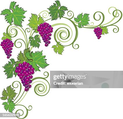 Grape Ornament Grape Ornament