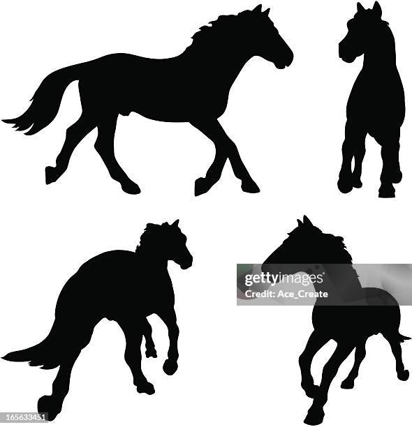horse silhouette (4 angles) - strange perspective stock illustrations